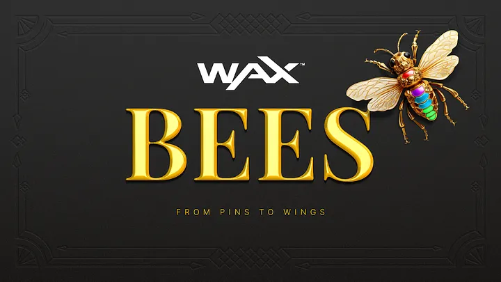من الإبر إلى الأجنحة: حدث صناعة النحل بـ WAX!